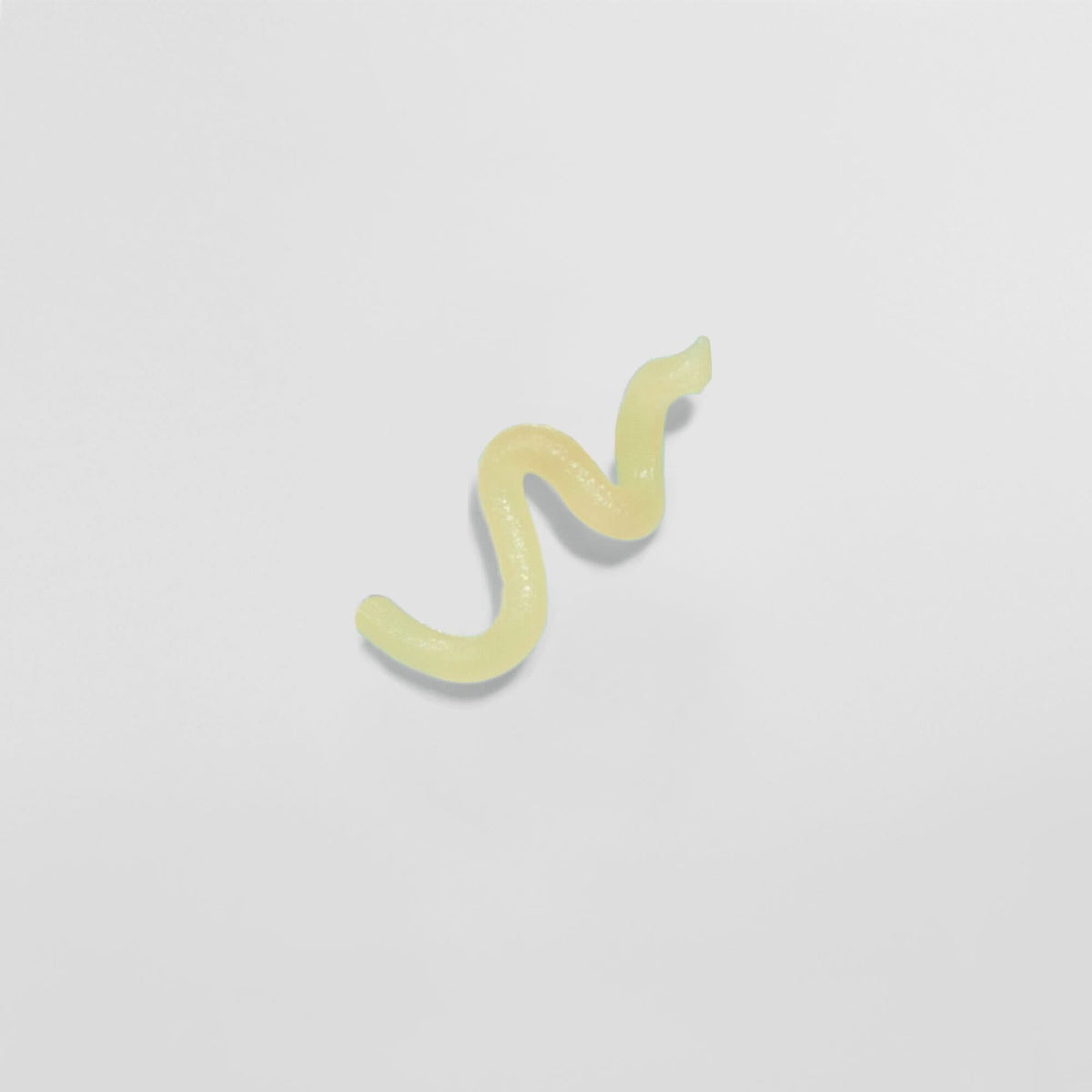 Gelber Gummiwurm auf weißem Hintergrund.